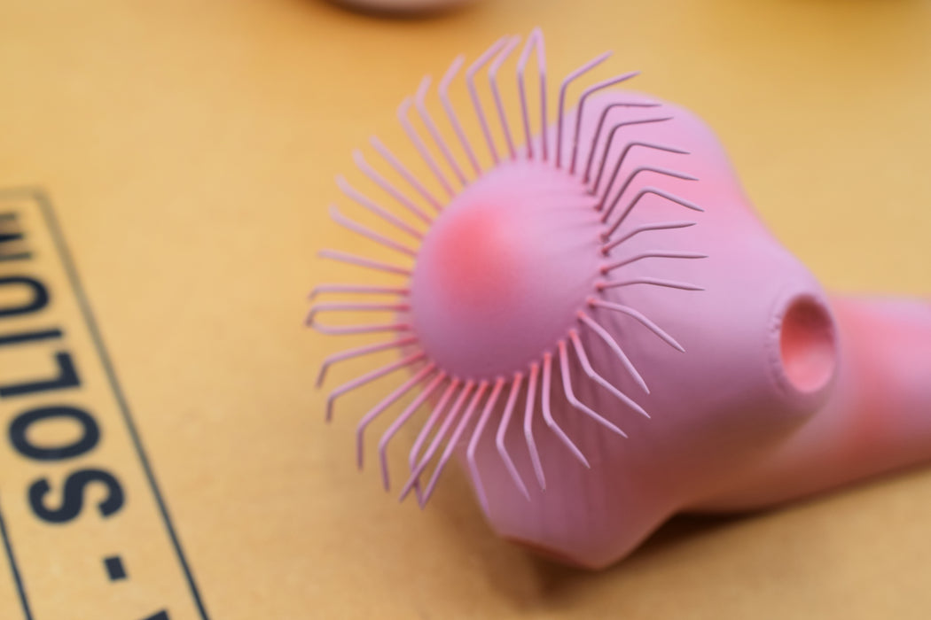 Comparative Tapeworm Model - Developmental Anatomy - Mounted on 18"x20" Wood Base - Hand Painted- Eisco Labs