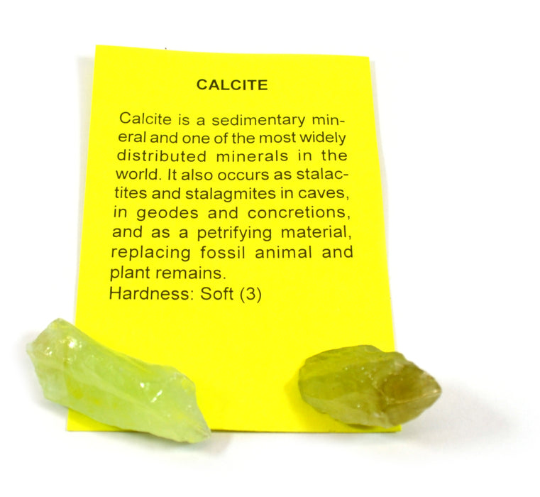 Premium 15-Piece Identified Mineral Collection with 4.5x Hand Lens