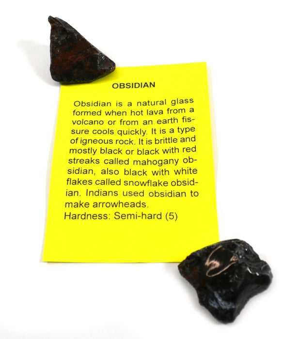 Premium 15-Piece Identified Mineral Collection with 4.5x Hand Lens