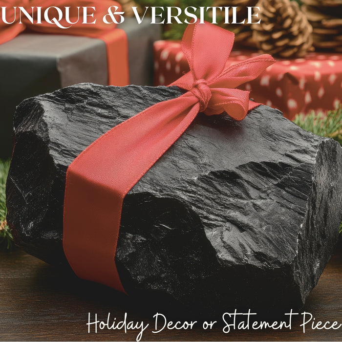 20lb Humongous Lump of Coal – For the Ultimate Naughty Person - For the Person Who Deserves Nothing Else - Christmas Coal, Coal Christmas Gift - Holiday Joke for Christmas Parties, Secret Santa