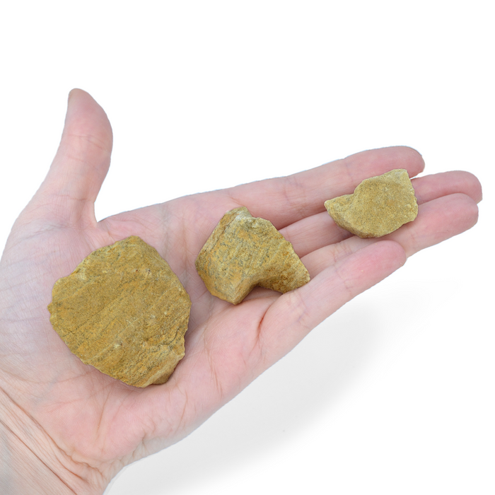 12PK Raw Dolostone, Sedimentary Rocks - Approx. 1"