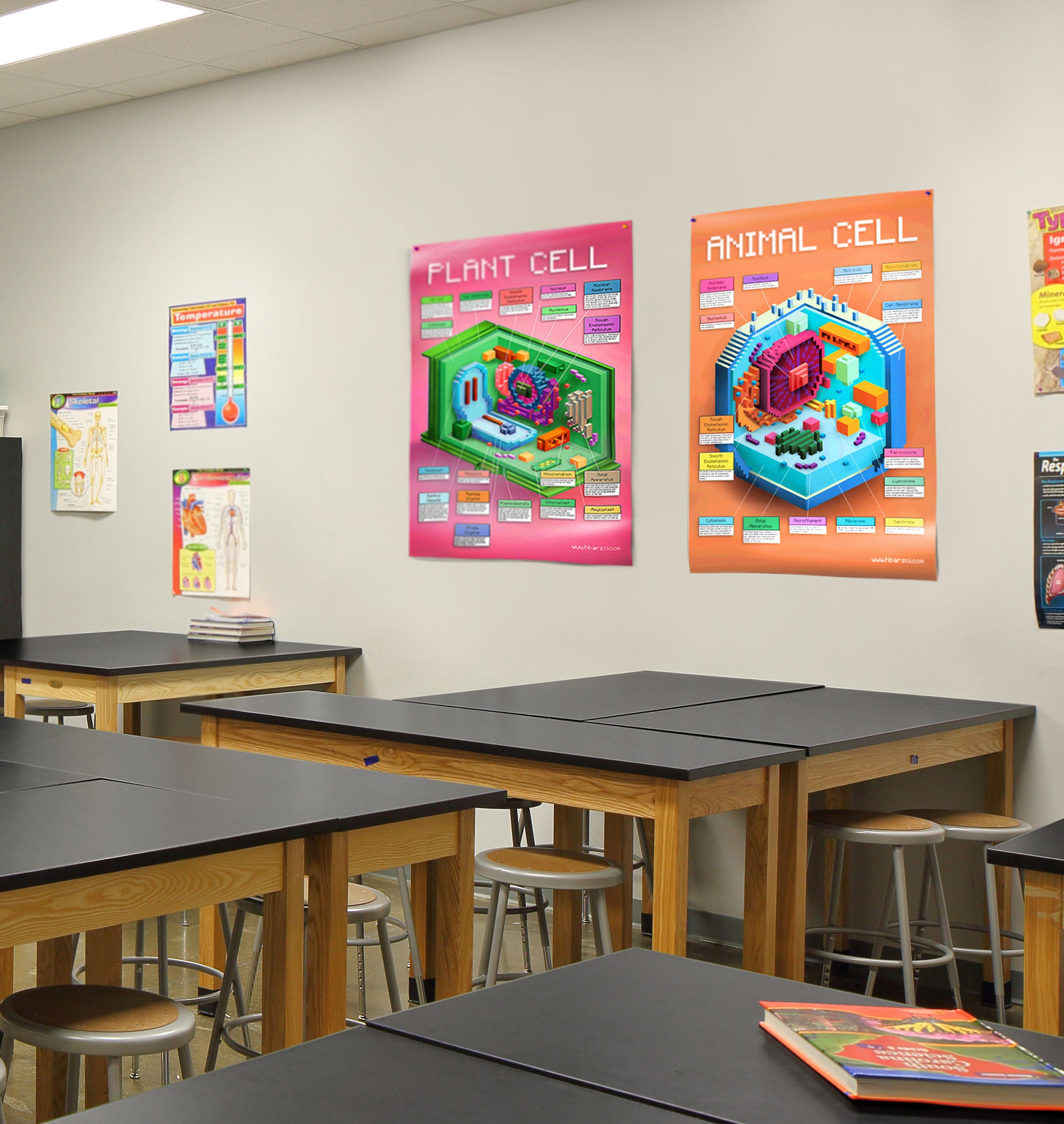 CellCraft Animal Cell & Plant Cell Poster Set - Exclusively at hBARSCI