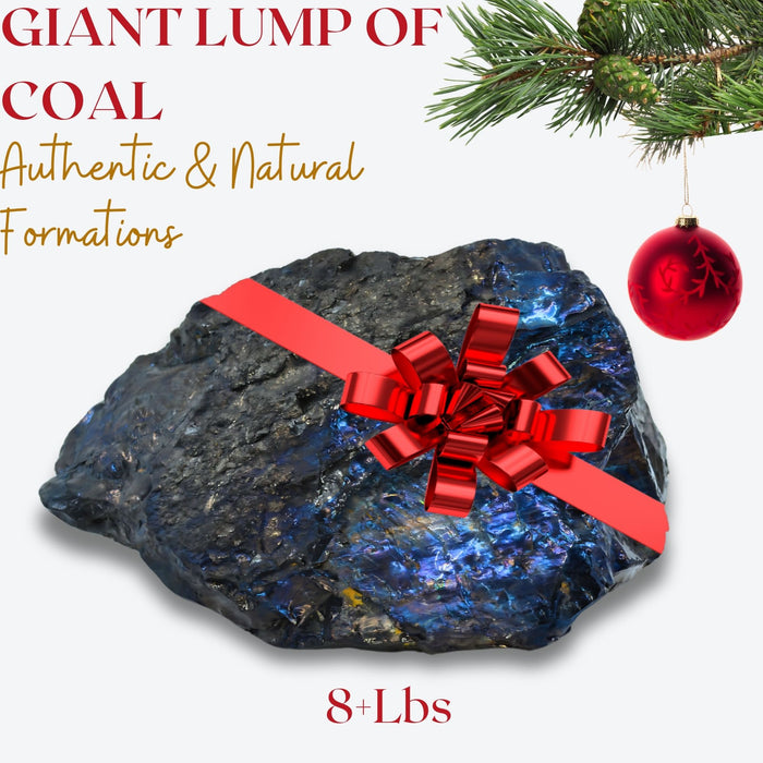 8lb Huge Lump of Coal – For Very Naughty People - Funny Christmas Gift for Difficult People - Christmas Coal, Coal Christmas Gift - Holiday Joke for Christmas Parties, Secret Santa, White Elephant