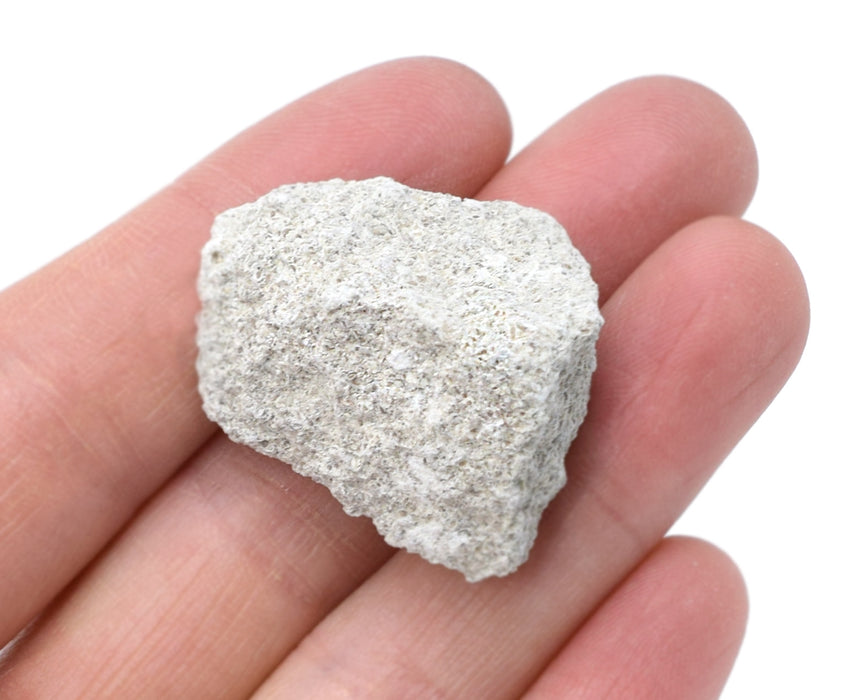 Oolitic Limestone, Sedimentary Rock Specimen - Approx. 1" - Geologist Selected & Hand Processed - Great for Science Classrooms - Eisco Labs