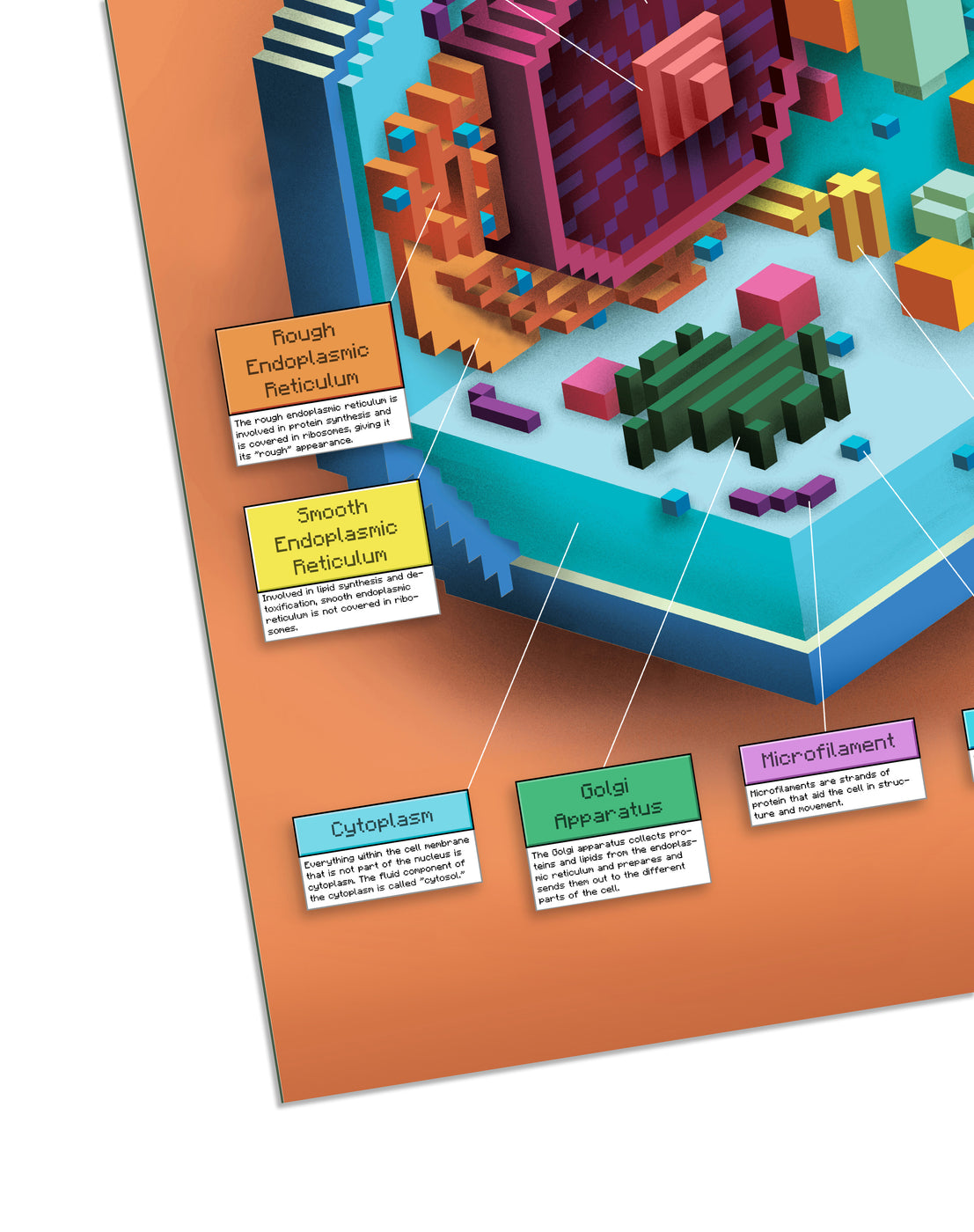 CellCraft Animal Cell & Plant Cell Poster Set - Exclusively at hBARSCI