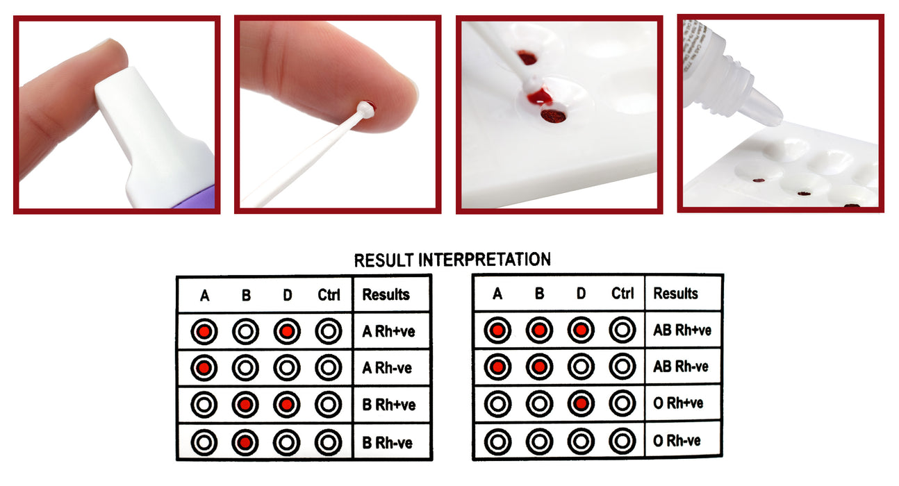 Erycard ABO/RH Blood Typing Card - NOT for Medical / Clinical Use - Innovating Science