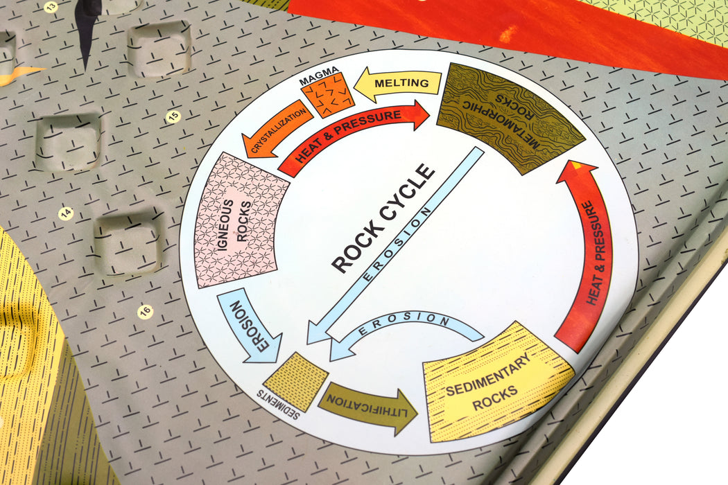 Rock Cycle Model, 18" x 24" - 3D Cross Section of Earth Crust - Includes Teachers Guide