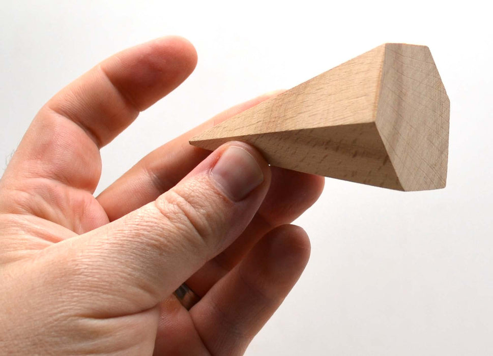 19-Piece 3D Geometric Shapes Set in Hardwood Case