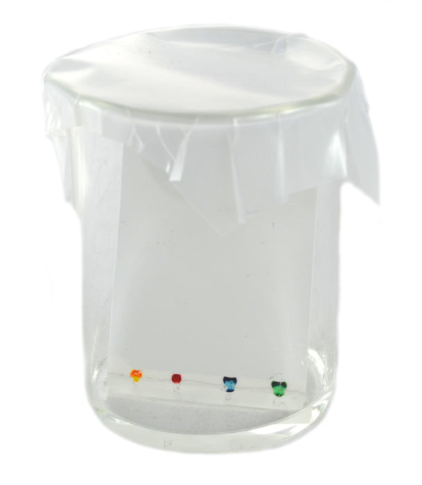 Innovating Science - Thin Layer Chromatography Kit