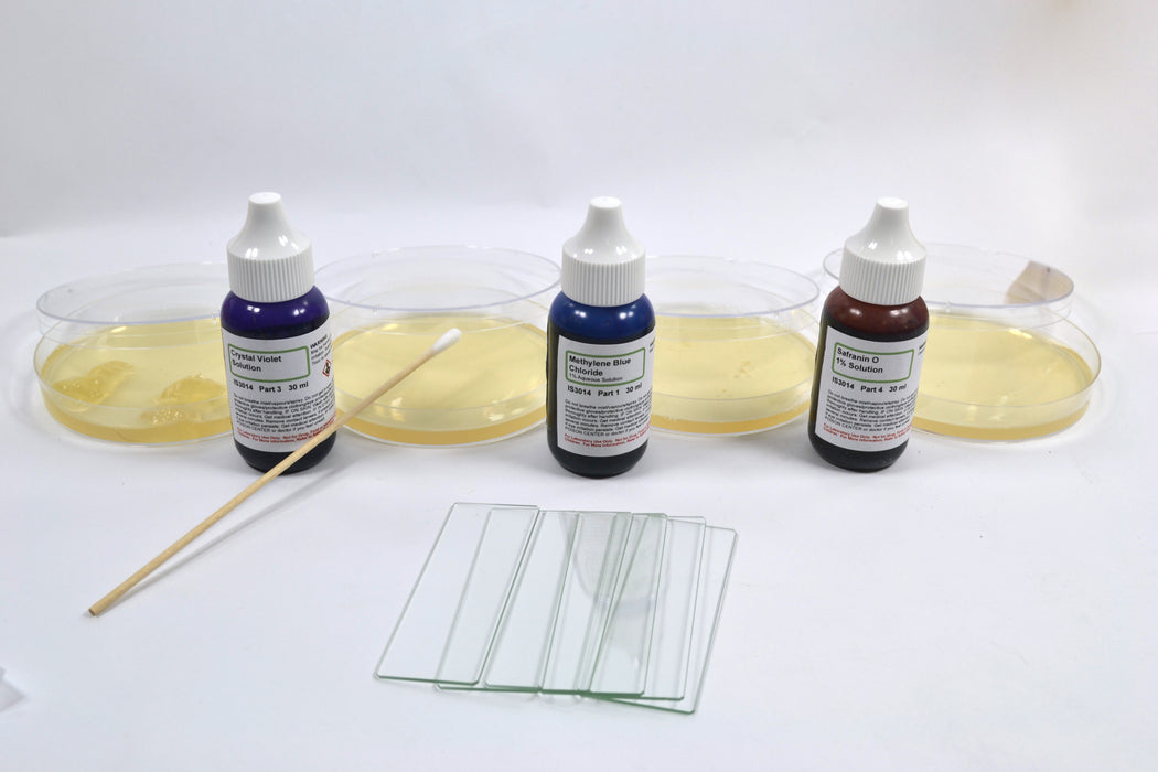 Kit, Introduction to Microbiology: Bacterial Growth & Staining - Materials For 5 Setups