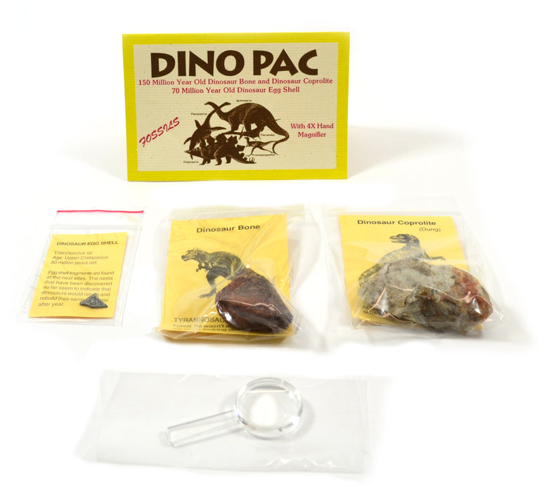 Rare Fossil Dino Pac - Real Dinosaur Egg, Bone, and Dung Fossils with Info Cards, Geologic Timescale, and 4x Magnifier