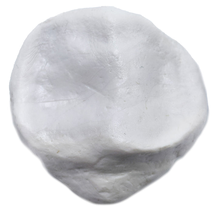 Patella Bone Model - Left - Anatomically Accurate Human Kneecap Bone Replica - Eisco