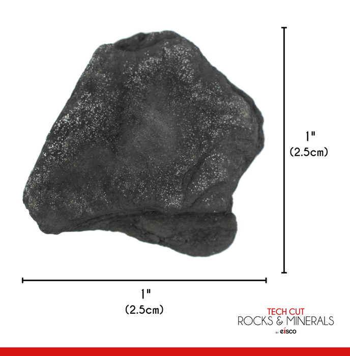 6 Pack - Raw Anthracite Coal, Metamorphic Rock Specimen - Approx. 1"