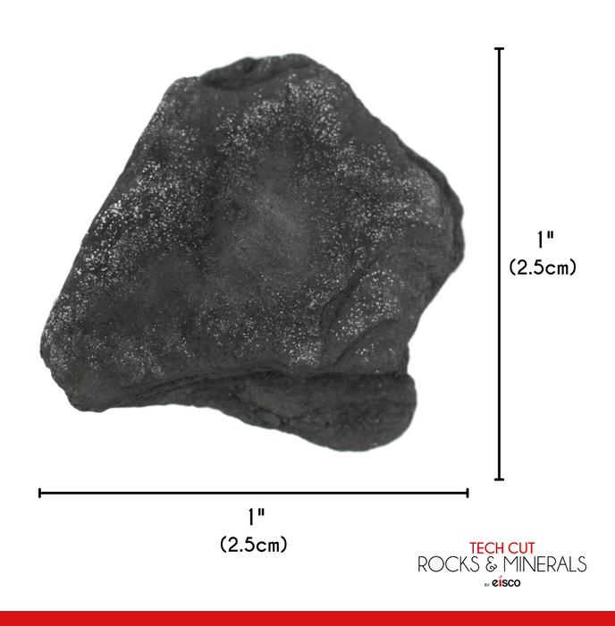 Raw Anthracite Coal, Metamorphic Rock Specimen - Approx. 1"