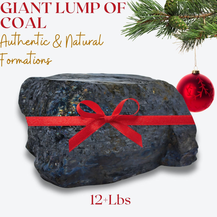 12lb Gigantic Lump of Coal – For Exceptionally Naughty People - Gift for Perpetual Pot Stirrers - Christmas Coal, Coal Christmas Gift - Holiday Joke for Christmas Parties, Secret Santa, White Elephant