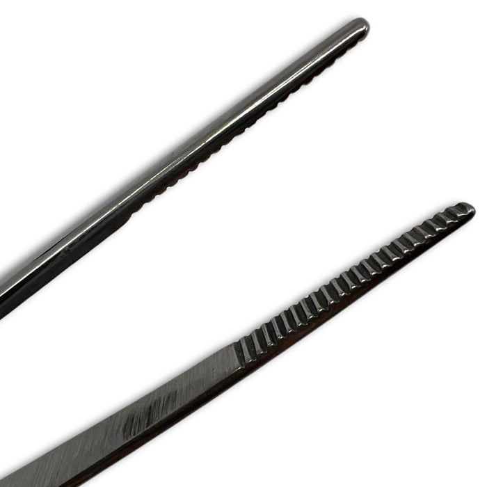 Eisco Labs - 6 Inch Stainless Steel Forceps - Precision Tweezers, Laboratory, Medical, and Educational Use - Durable, Corrosion-Resistant, Serrated Tips for Secure Grip - Dissection, Specimen Handling