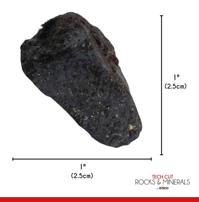 Raw Lodestone, Mineral Specimen - Approx. 1" - Geologist Selected & Hand Processed - Great for Science Classrooms - Eisco Labs