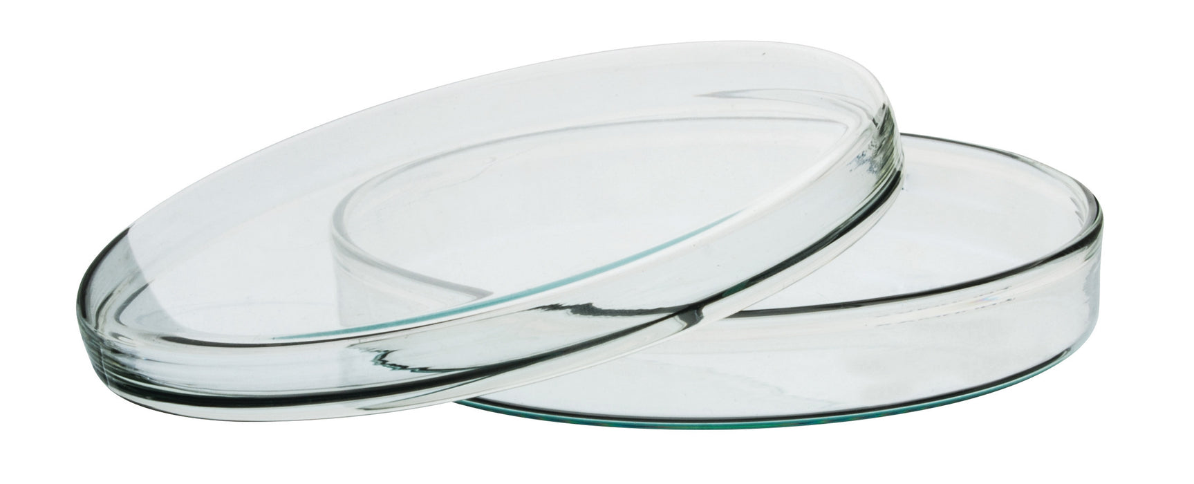 Petri Dish, 5.9" (150mm) - Beaded Edges - Easy to Sterilize for Repeated Use - Borosilicate Glass - Eisco Labs