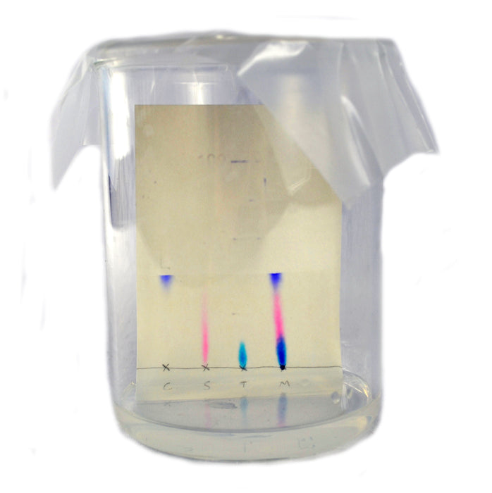 Innovating Science - Paper Chromatography Kit to Separate Chemical Substances