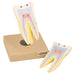 Model Human Tooth - 2 Parts