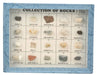Set of 50 Rocks Wooden Case