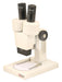 Microscope Stereoscopic