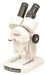 Microscope Stereoscopic