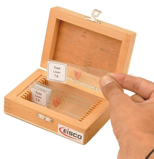 Slide Box Wooden for 12 slides for Geological slides