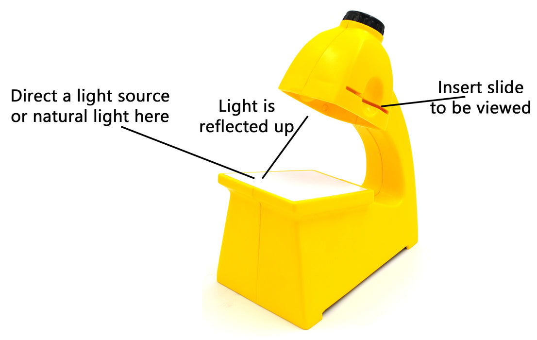 Microscope, 7.5 Inch - Economy - Lightweight