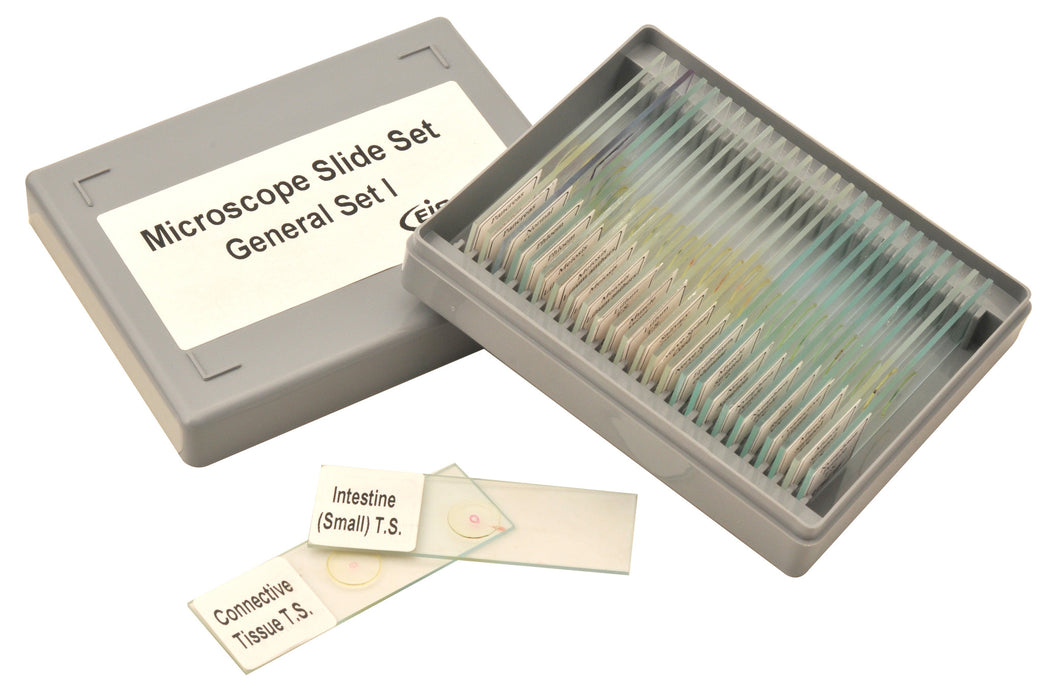 Microscope Slide Set - General Set No. I, Set of 25