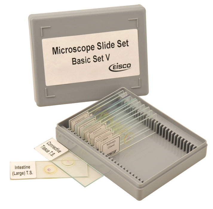 Microscope Slide Set - Basic Set No. V, Set of 15