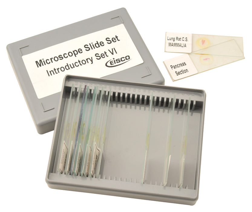 Microscope Slide Set - Introductory Set No. VI, Set of 15