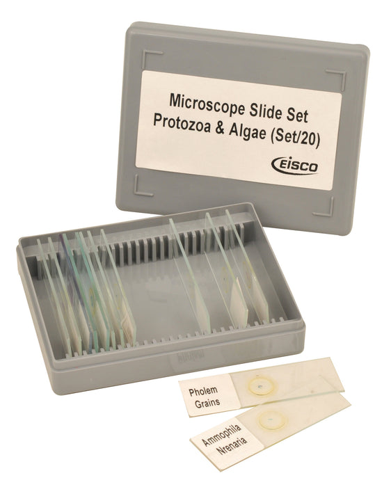Microscope Slide Set - Protozoa & Algae, Set of 20