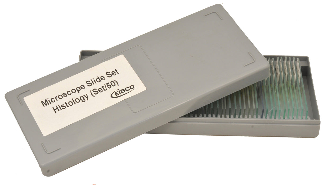 Microscope Slide Set - Histology, Set of 50