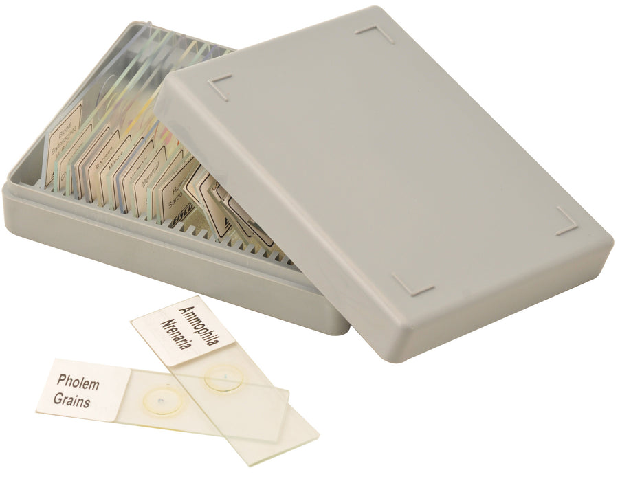 Microscope Slide Set - Human Histology, Set of 25