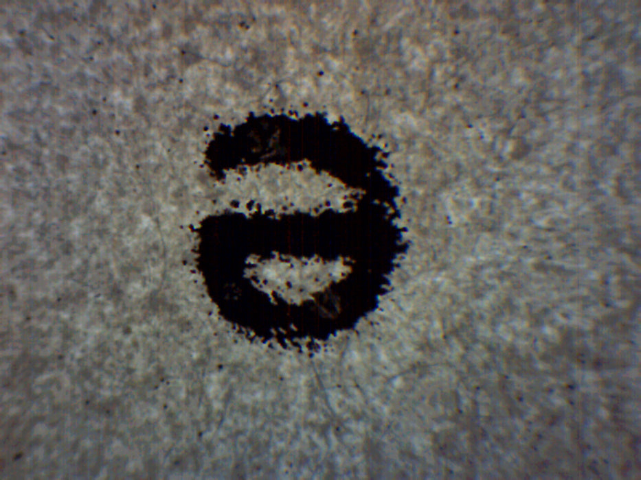 Prepared Microscope Slide, Letter 'e' - 75 x 25mm - Introductory Microscopy - Eisco Labs