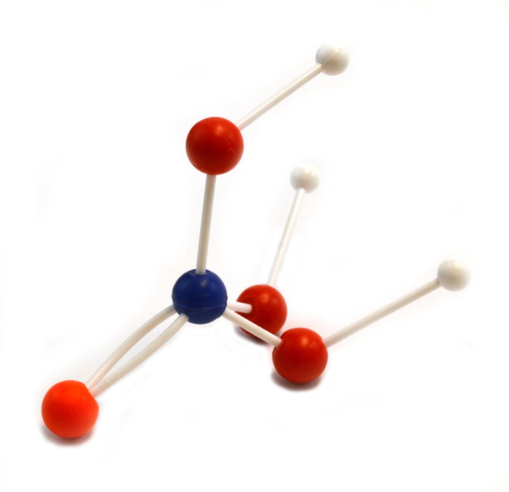 Organic and Inorganic Chemistry Molecular Atomic Model Set - 520 Pieces with Hard Plastic Case