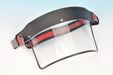 Face shield