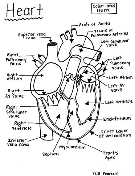 Metal heart coloring book Royalty Free Vector Image