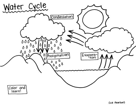 Water Cycle Printable Coloring Page - Educational & Teaching Resource