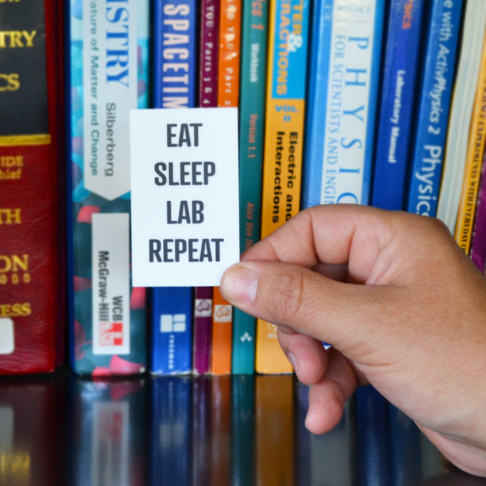 "Eat Sleep Lab Repeat" Vinyl Sticker, 3 Inch