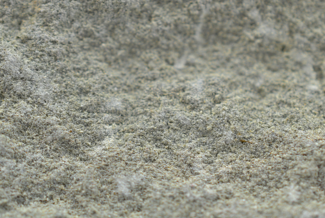 Eisco Siltstone Specimen (Sedimentary Rock), Approx. 1" (3cm)