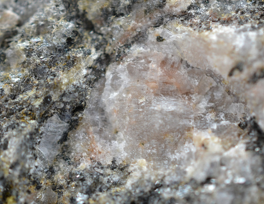 Augen Gneiss Specimen (Metamorphic Rock) - Hand Sample - Approx. 3"