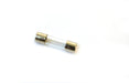 5x20mm 630mA Glass Fuse for Goggle Sanitizer Cabinet - hBARSCI
