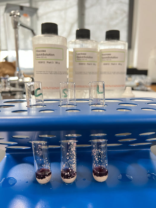 Cellular Respiration Kit