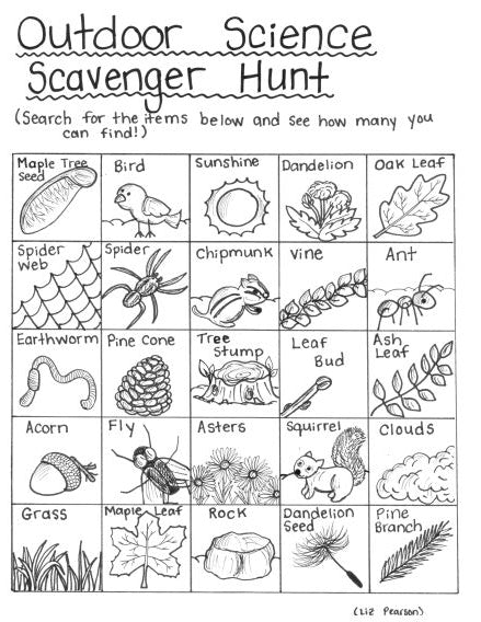 Outdoor Science Scavenger Hunt - Free Printable Coloring Page - Educational & Teaching Resource