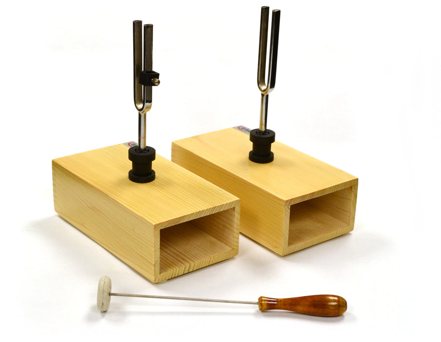 Eisco Labs Pair of Steel Tuning Forks (440Hz) in Wood Bases, One Adjustable