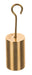 Double Hooked Weight Brass 100 grams (0.22 Lbs.) Eisco Labs 