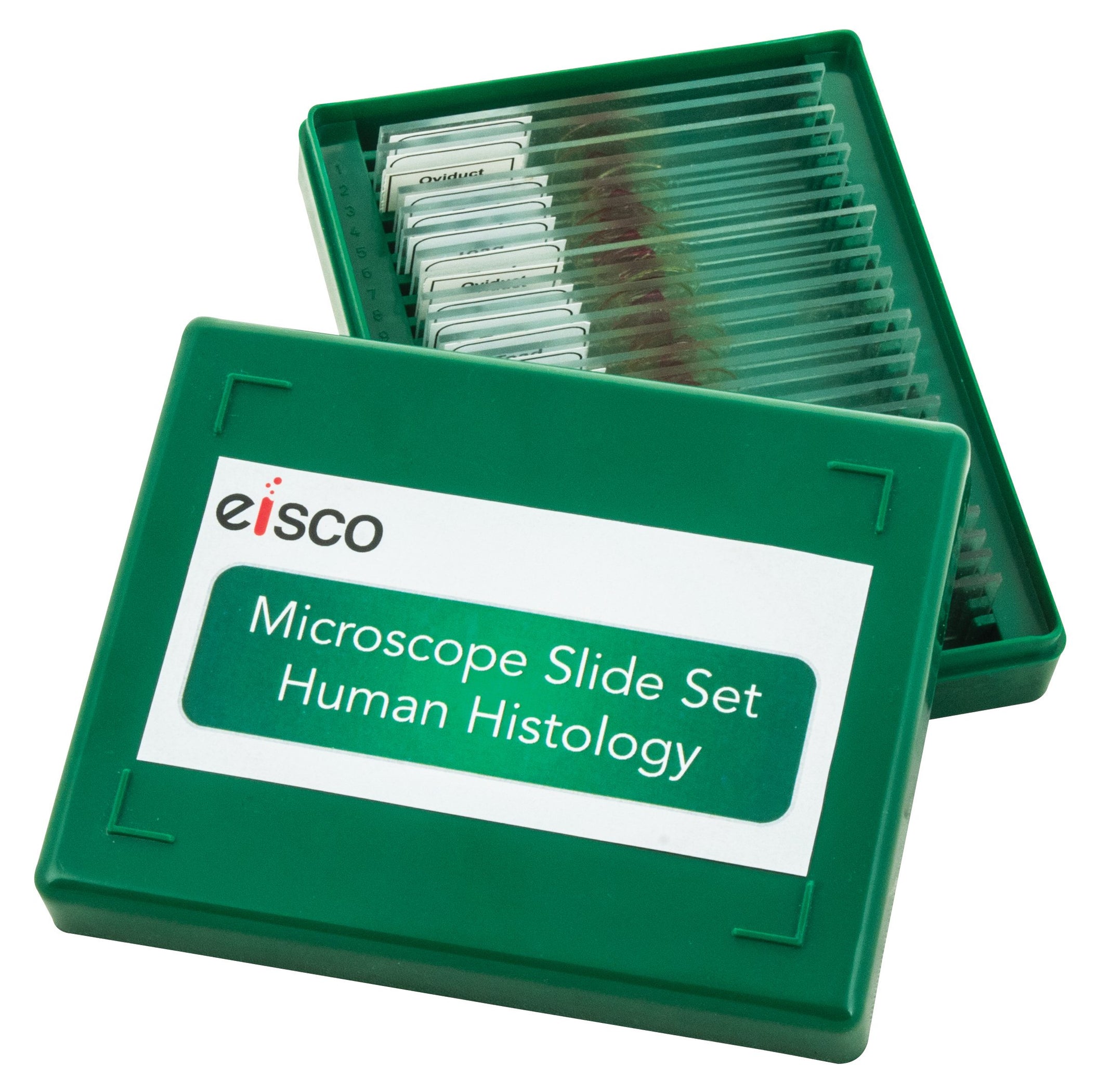 Microscope Slide Set Human Histology, Set of 25 — hBARSCI