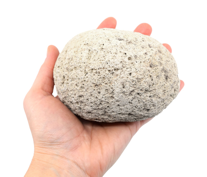 Raw Pumice, Igneous Rock Specimen - Hand Sample, ± 2.75"